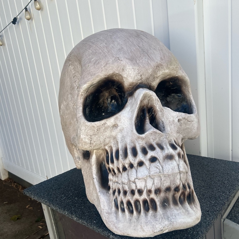 Decorative Skull Sculpture - Gray and Black